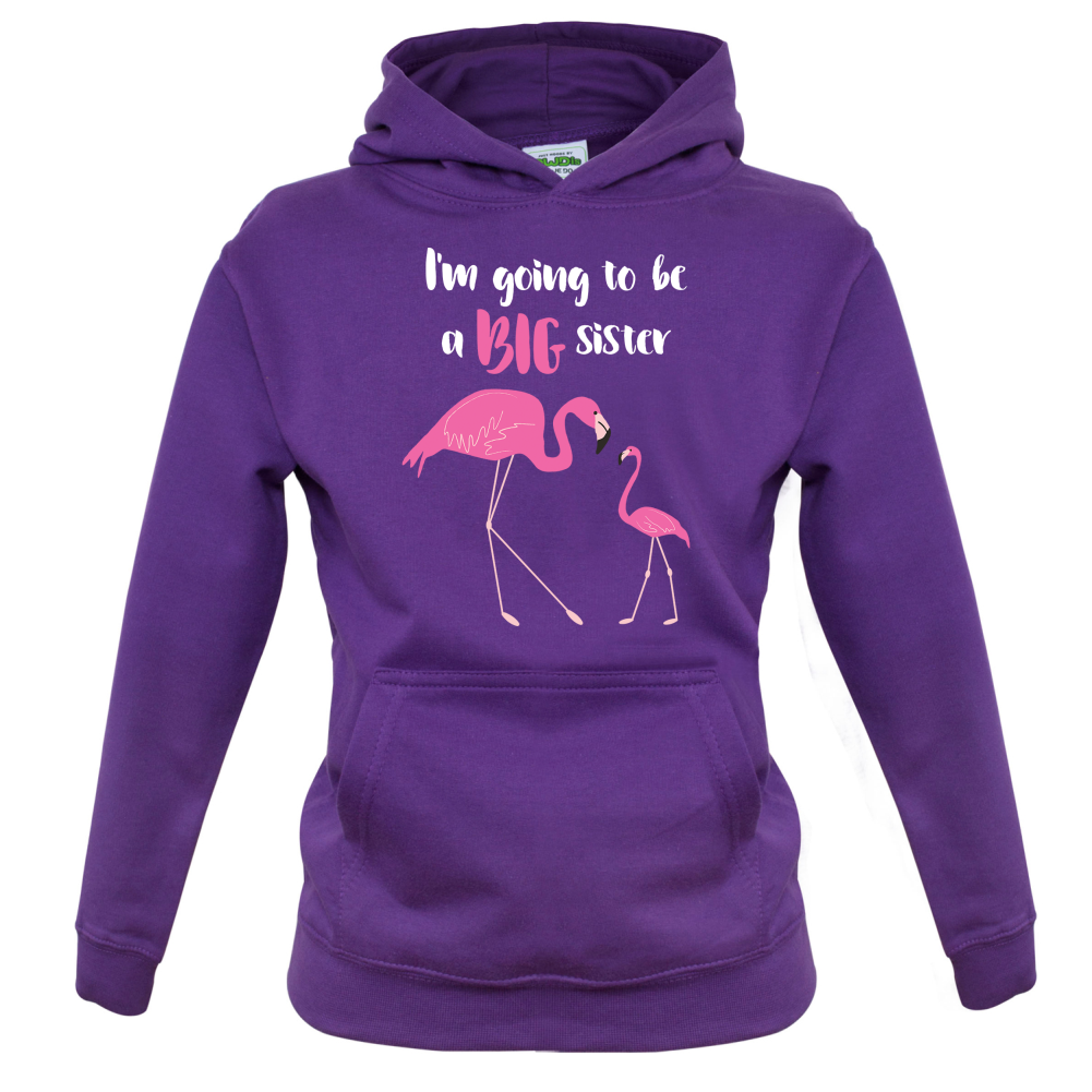 Big Sister Flamingo Kids T Shirt