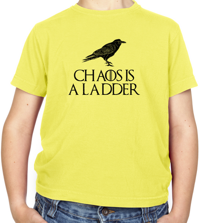 Chaos Is A Ladder Kids T Shirt
