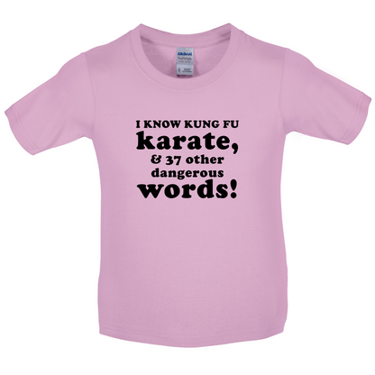 I Know Karate And 37 Other Dangerous Words Kids T Shirt