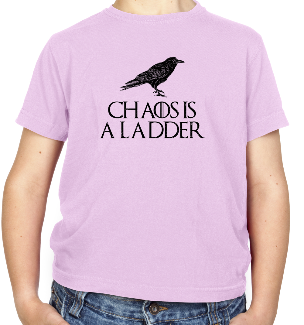 Chaos Is A Ladder Kids T Shirt