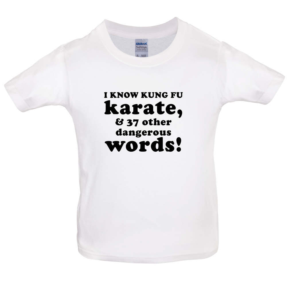 I Know Karate And 37 Other Dangerous Words Kids T Shirt
