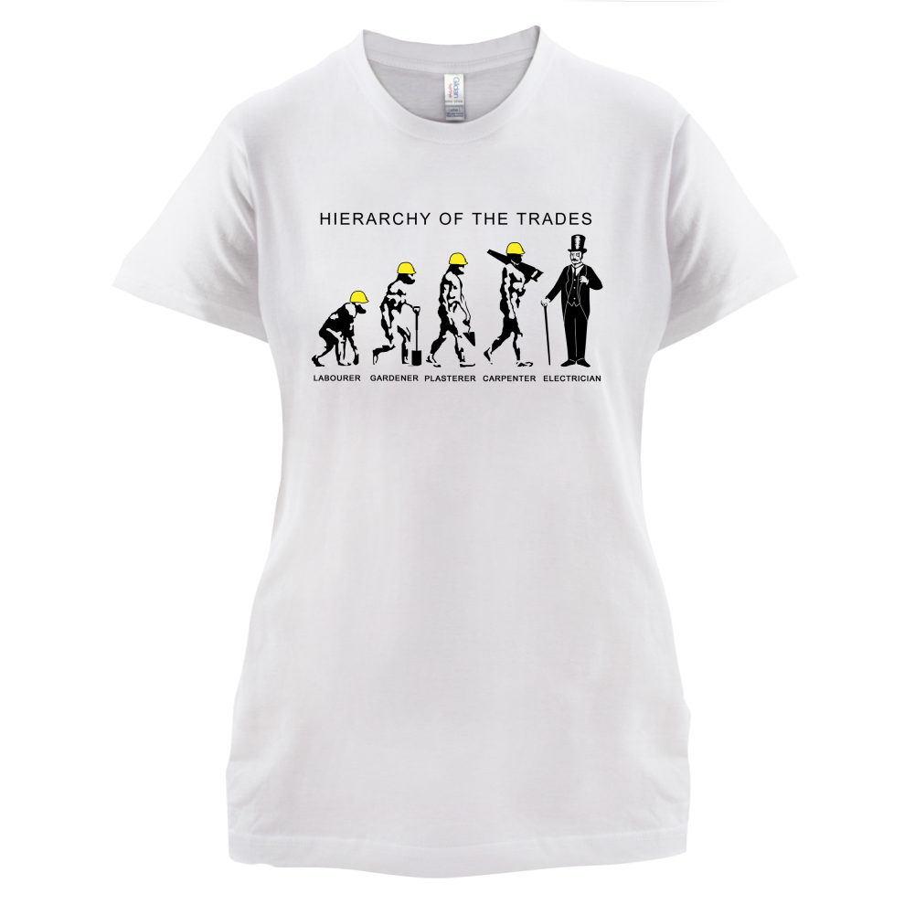 Hierarchy of Trades Electricians T Shirt