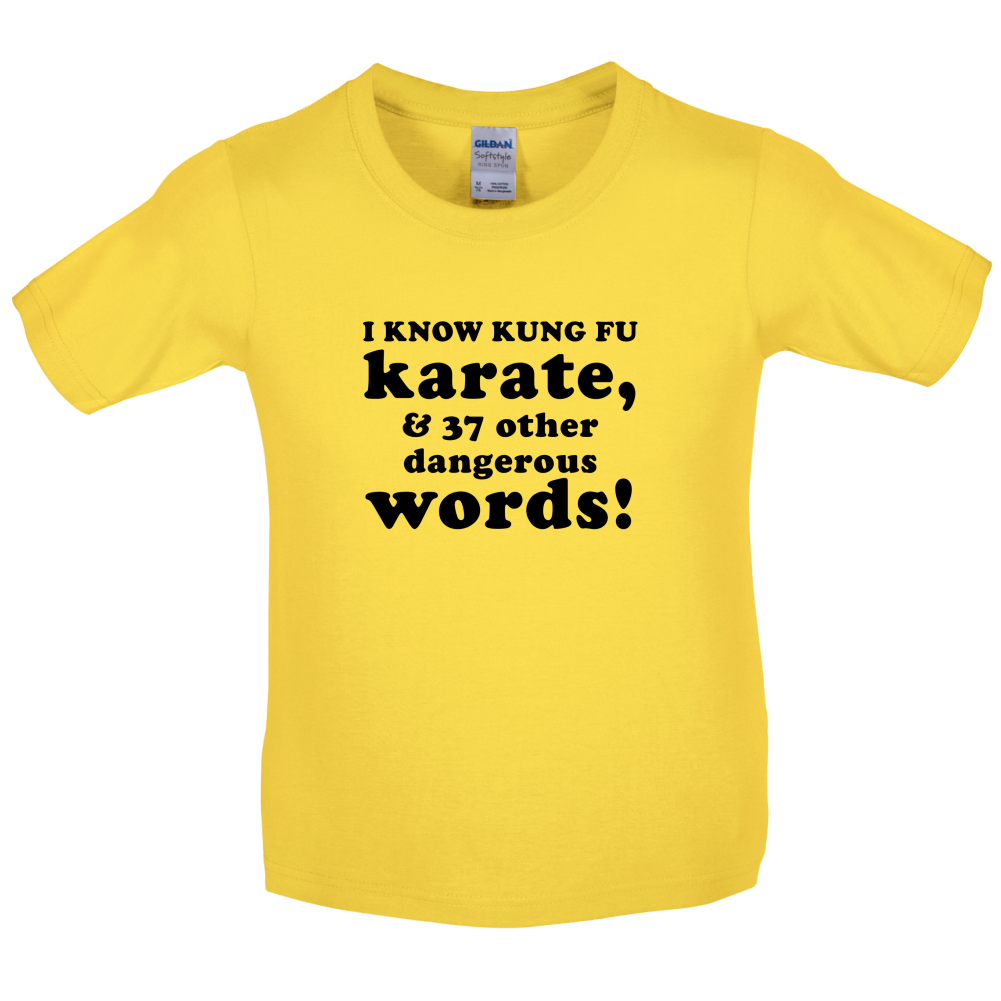 I Know Karate And 37 Other Dangerous Words Kids T Shirt