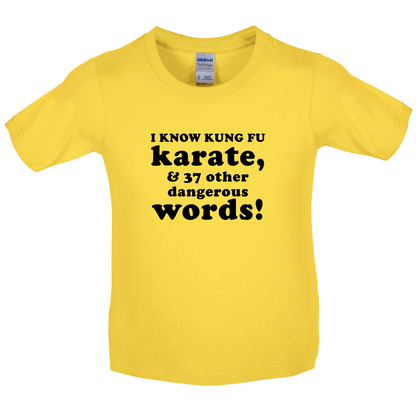 I Know Karate And 37 Other Dangerous Words Kids T Shirt