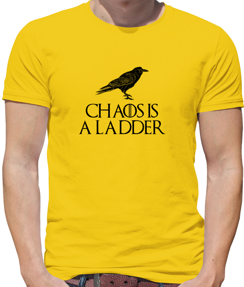 Chaos Is A Ladder T Shirt