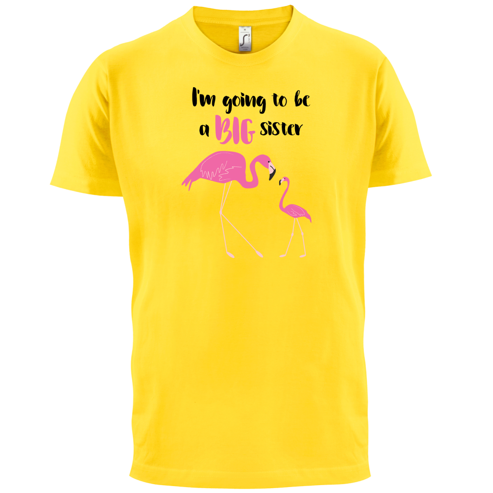 Big Sister Flamingo  T Shirt