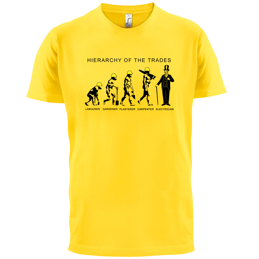 Hierarchy of Trades Electricians T Shirt