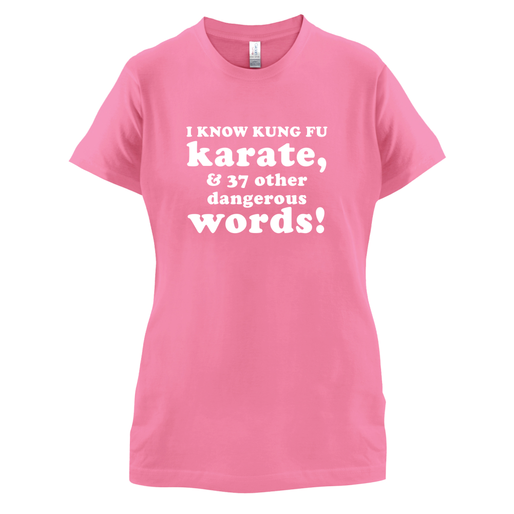 I Know Karate And 37 Other Dangerous Words T Shirt