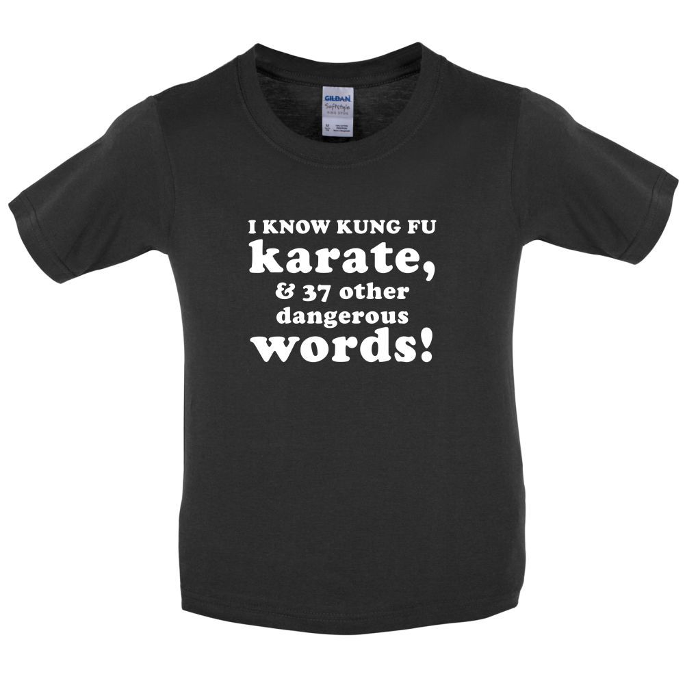 I Know Karate And 37 Other Dangerous Words Kids T Shirt