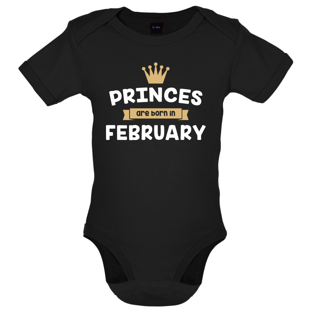 Princes Are Born In February Baby T Shirt