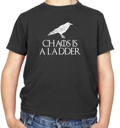Chaos Is A Ladder Kids T Shirt