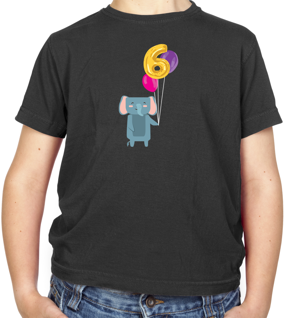 6th Birthday Elephant Kids T Shirt