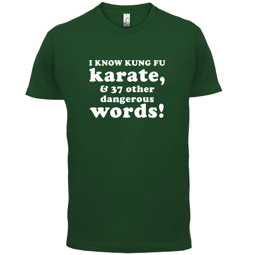 I Know Karate And 37 Other Dangerous Words T Shirt