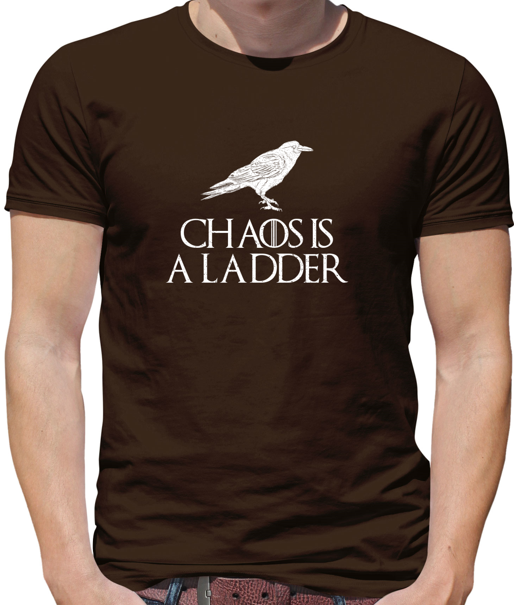 Chaos Is A Ladder T Shirt