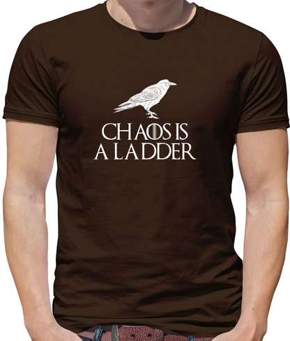 Chaos Is A Ladder T Shirt