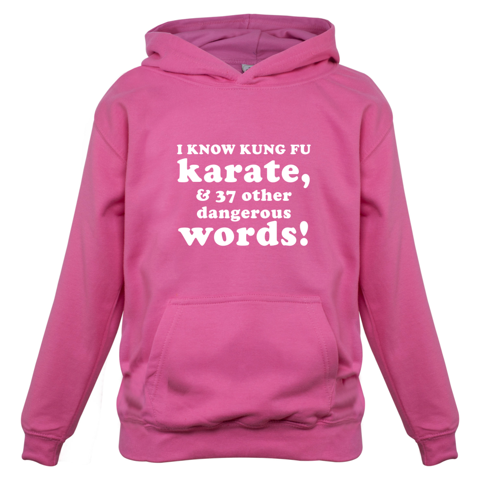 I Know Karate And 37 Other Dangerous Words Kids T Shirt