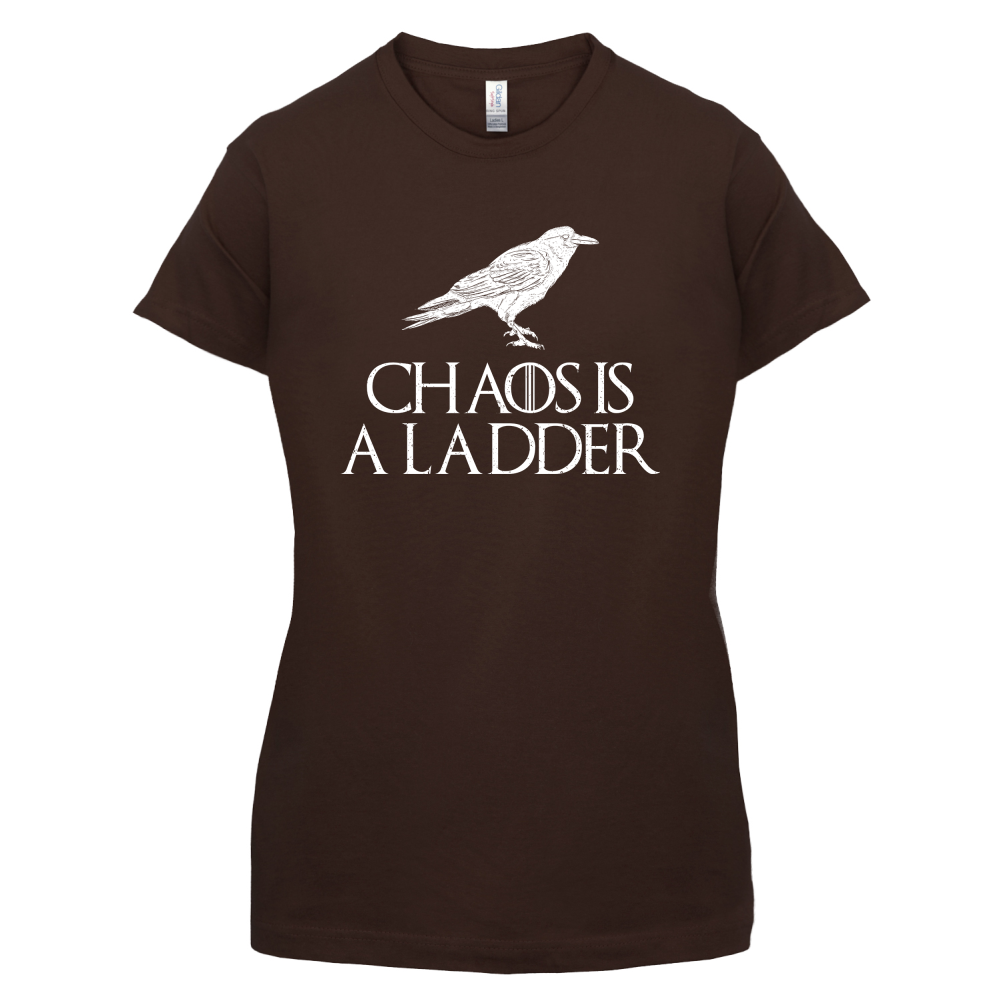 Chaos Is A Ladder T Shirt