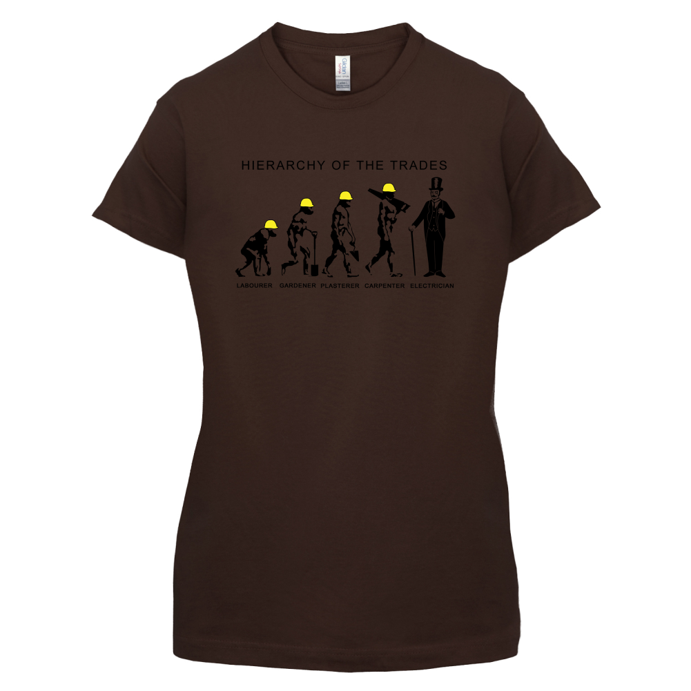 Hierarchy of Trades Electricians T Shirt