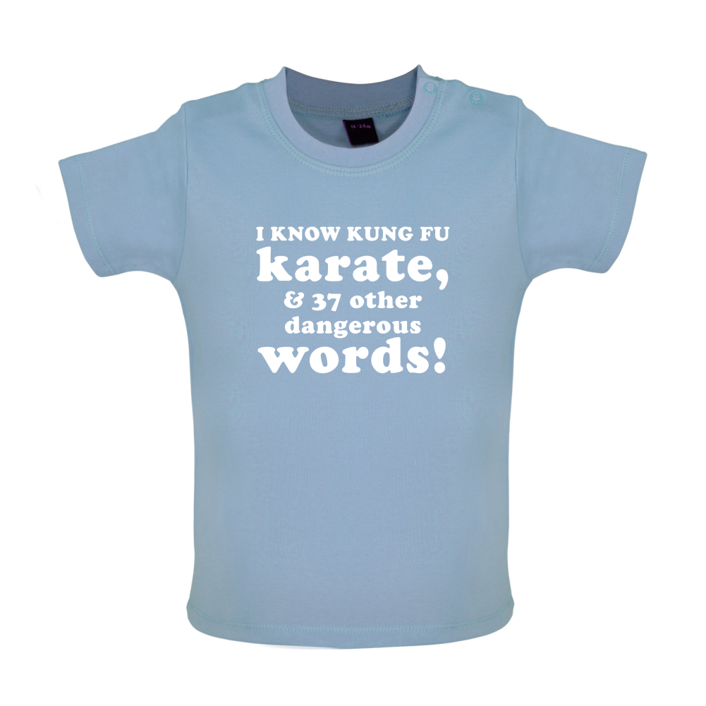 I Know Karate And 37 Other Dangerous Words Baby T Shirt