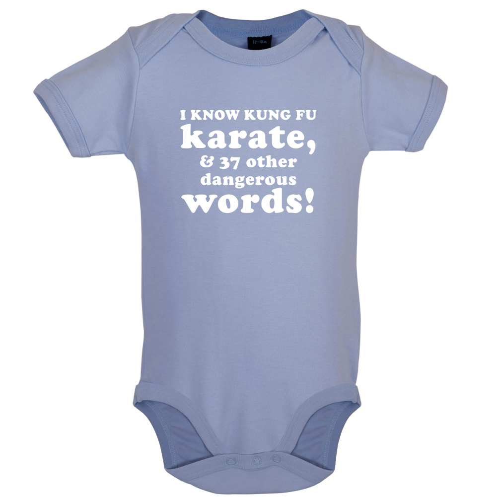 I Know Karate And 37 Other Dangerous Words Baby T Shirt