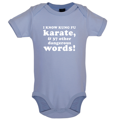 I Know Karate And 37 Other Dangerous Words Baby T Shirt