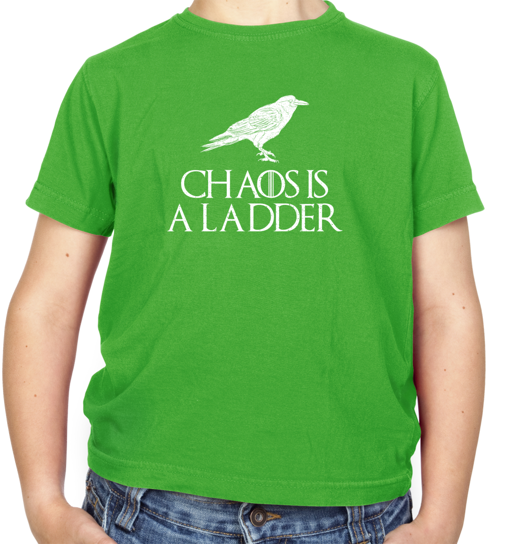 Chaos Is A Ladder Kids T Shirt