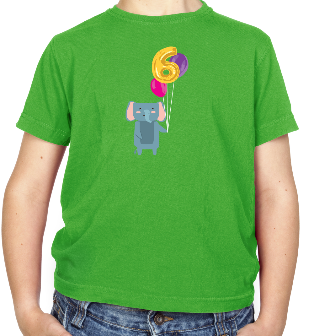 6th Birthday Elephant Kids T Shirt