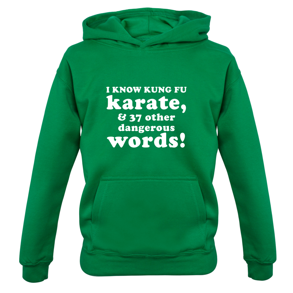 I Know Karate And 37 Other Dangerous Words Kids T Shirt