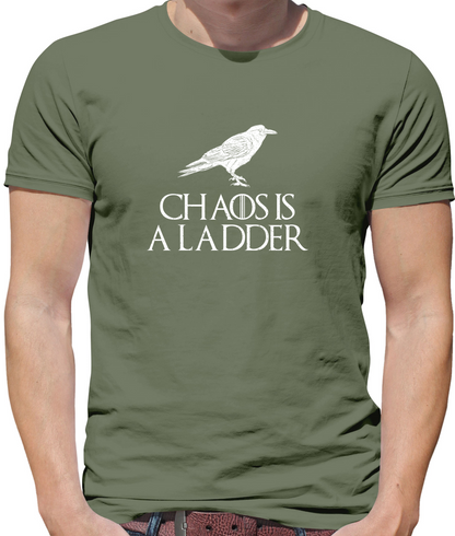 Chaos Is A Ladder T Shirt