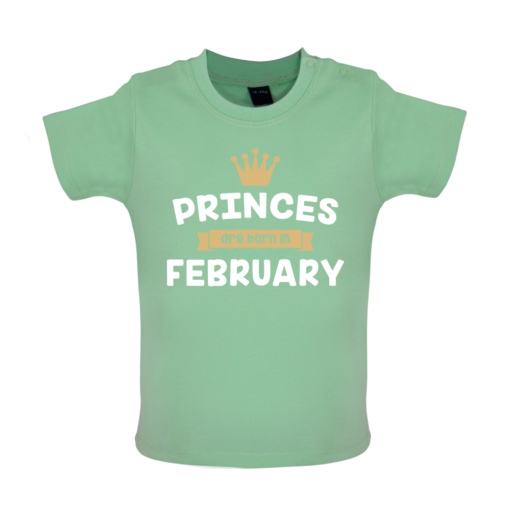 Princes Are Born In February Baby T Shirt