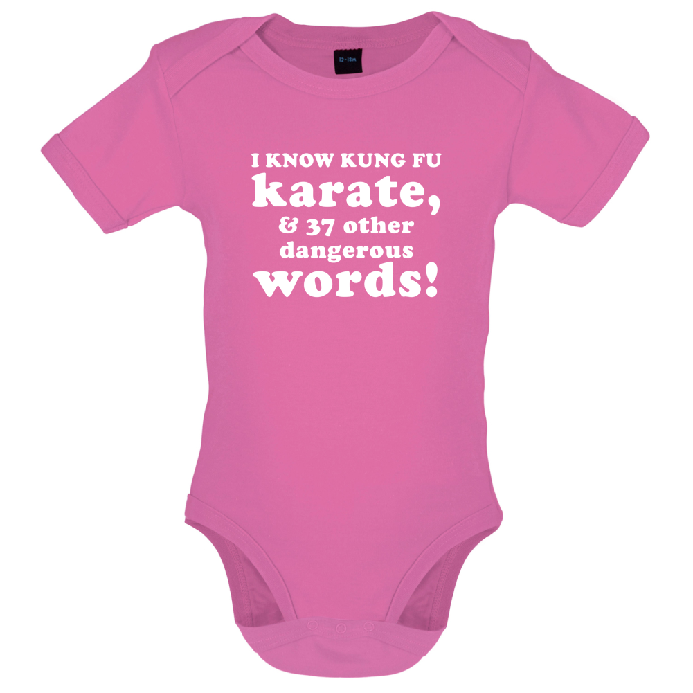 I Know Karate And 37 Other Dangerous Words Baby T Shirt