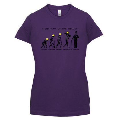 Hierarchy of Trades Electricians T Shirt