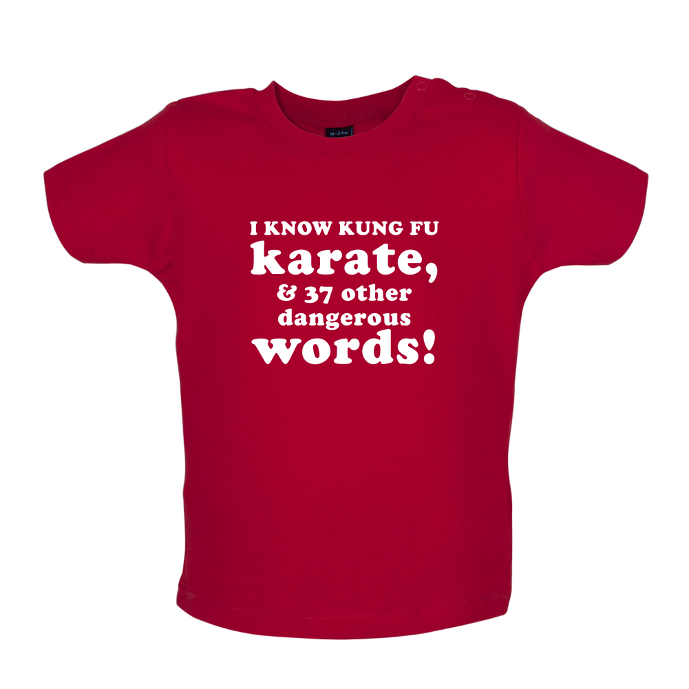 I Know Karate And 37 Other Dangerous Words Baby T Shirt