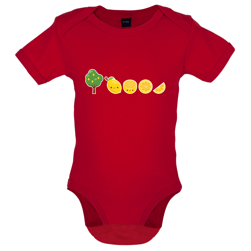 Evolution Of Lemon Baby T Shirt