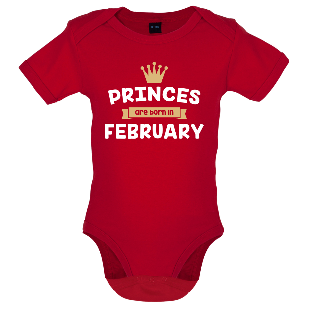 Princes Are Born In February Baby T Shirt