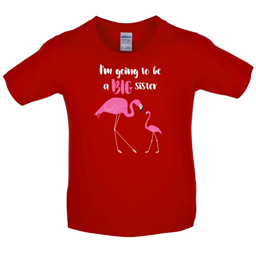 Big Sister Flamingo  Kids T Shirt