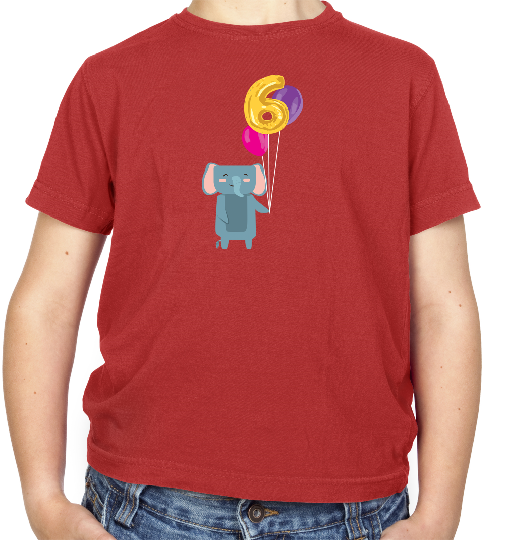 6th Birthday Elephant Kids T Shirt
